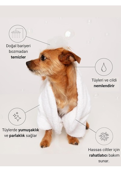 Kedi Ve Köpek Şampuanı 400 Ml Doğal İçerikli Vegan Şampuan Günlük Tüy Bakımı, Nazik Temizlik Ve Ekonomik Boy