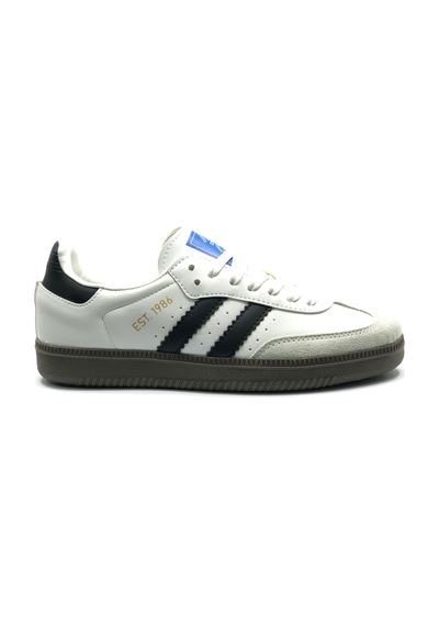 Cool Angola Sneaker Unisex Spor Ayakkabı Çok Renkli