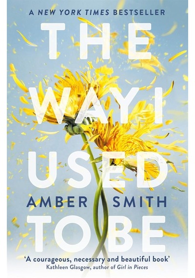 Way I Used to Be (Way I Used to Be) - Amber Smith - Oneworld Publications