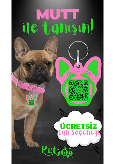 Petjoo 10.Mutt Yeşil-Pembe Qr'lı Köpek Künyesi