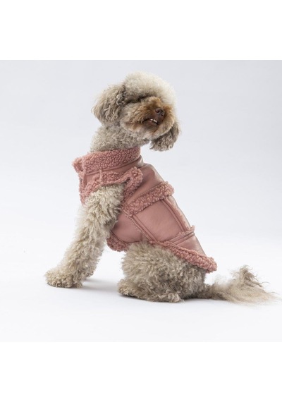 Pawstar Rose Churchill Kolsuz Yelek Küçük Ve Orta Irk