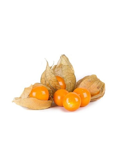 Tohhum Saksılık Altın Çilek 25+tohum +saksı+toprak Sku: Smgstkacd67eeec2