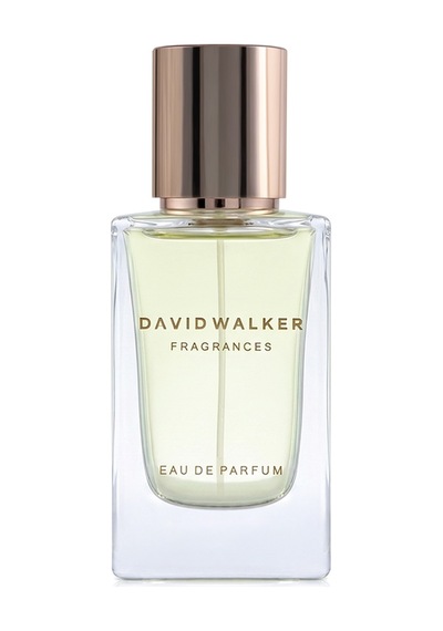 David Walker Porto E180 Erkek Parfüm EDP 50 ML