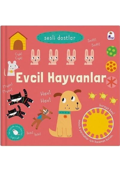Sesli Dostlar - Evcil Hayvanlar Sesli Kitap