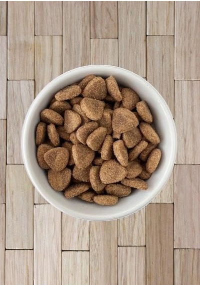 Kuzulu Orta Ve Büyük Irk Yetişkin Kuru Köpek Maması 18 Kg