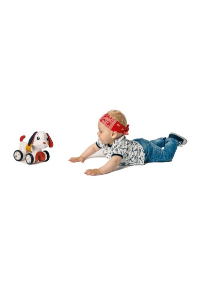 Tiny Love 0-3 Yaş Emekleme Arkadaşım Sevimli Köpek Charlie Tiny Rockers Koleksiyonu