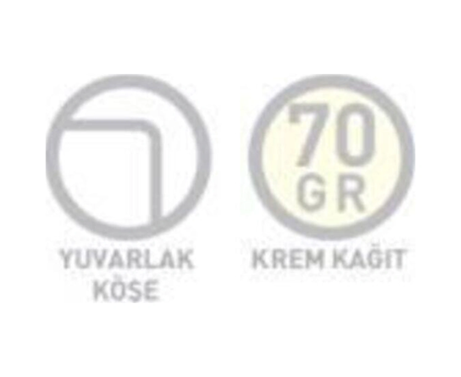 Art Master Spiralli Karton Kapak Defter 19x26cm 100 Yaprak Kareli 4 Lü Paket 3661