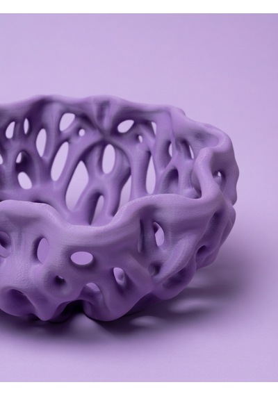 Organik Delikli Dekoratif Kase Modern Şık Hafif Dayanıklı Ev Dekoru 20x9 Cm