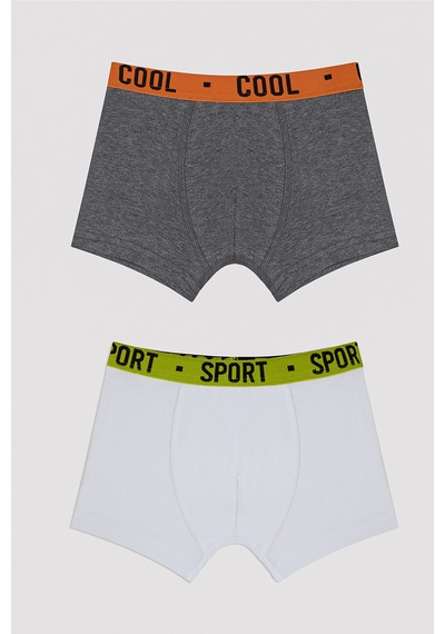 Penti Erkek Çocuk Cool Spor 2li Boxer Çok Renkli