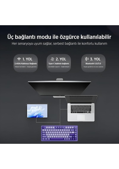 Evnıa Spk8618 Mekanik Rgb 81 Tuş Usb/bluetooth/2.4g Kablosuz Oyuncu Klavyesi Mor