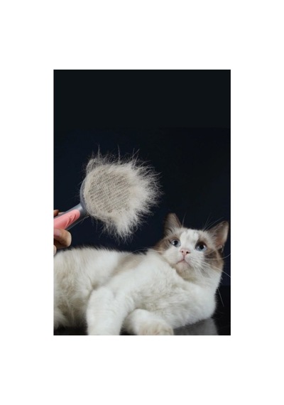 Premium Tüy Temizliği Kolay Tarama Pratik Ürün Otomatik Tuşlu Kendini Temizleyen Kedi Köpek Tarağı