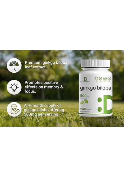 Deal Supplement Ginkgo Biloba Leaf Extract 500mg Per Serving, 240