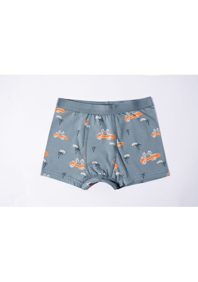 U.S. Polo Assn. Erkek Çocuk Yeşil İç Giyim 5274-49096 Pastel Yeşili-turuncu