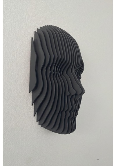 Flatform Echo Parametrik Yüz Duvar Dekoru 3d Katmanlı Modern Duvar Heykeli Diğer