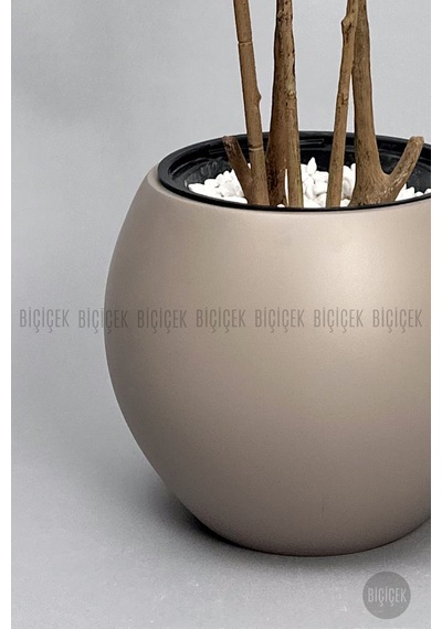 Biçiçek Yapay Dragon Bi̇tki̇si̇ 160 Cm Antresi̇t Mocha Saksıda