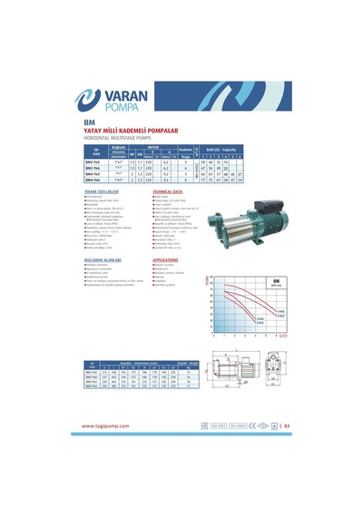 Varan Bm 2-9x5 Yatay Kademeli Noril Fanlı Santrifüj Pompa 1.5 Hp / 1.1 Kw, Monofaze 220 V, 58 Mss, 4 M3/h