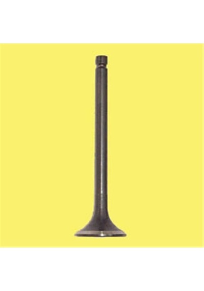 GÜNEŞ 5874-5875 GÜNEŞ SUBAP TAKIMI LT46 12V IN