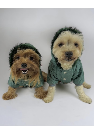 Kemique Green Comfie Köpek Montu Ceketi Köpek Dış Giyim