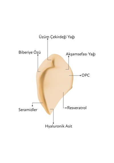 Vinolift Sıkılaştırıcı Yüz Kremi 50 Ml