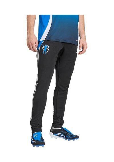 Adidas Erkek Siyah Eşofman Altı Jb Tr Pnt Jx6302 Siyah
