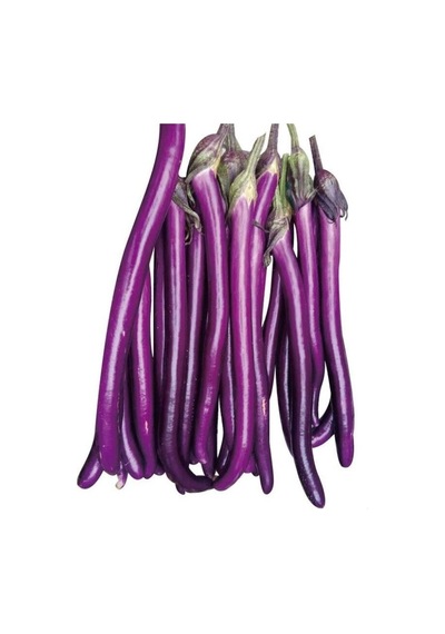 Thin Long Patlıcan Tohumu 15 Tohum