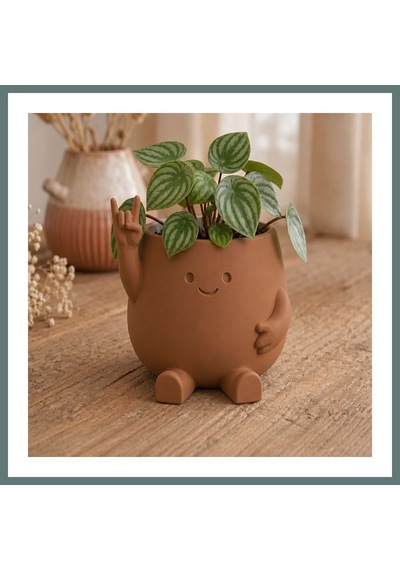 Bezos 3d Baskı Smiley Face Planter - Gülümseyen Karakterli Saksı-kahverengi Ventra Standart