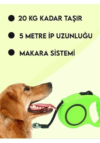 Ankanorm Makaralı Otomatik Köpek Tasması 5 Metre Yeşil