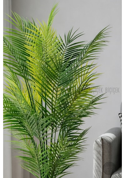 Biçiçek Areka Ağaci 24 Yapraklı 130 Cm Antresi̇t Küre Saksıda