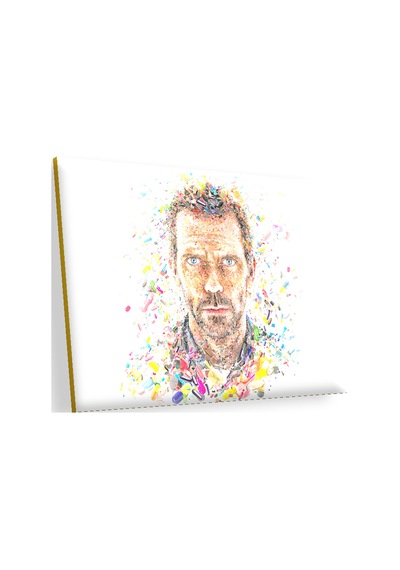 Cakasepetim Dr House Gregory Ve Sanatta Kapsül Görseli Ahşap Mdf Tablo