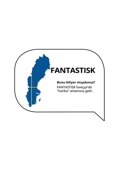 Ikea Fantastısk Peçete, Koyu Gri, 40x40 Cm, 50 Adet