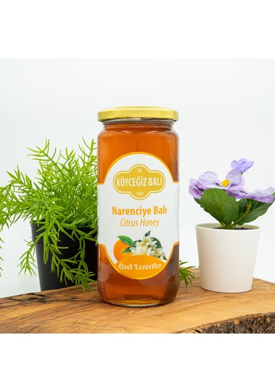 Köyceğiz Balı Narenciye Balı Cam Kavanoz 660 G