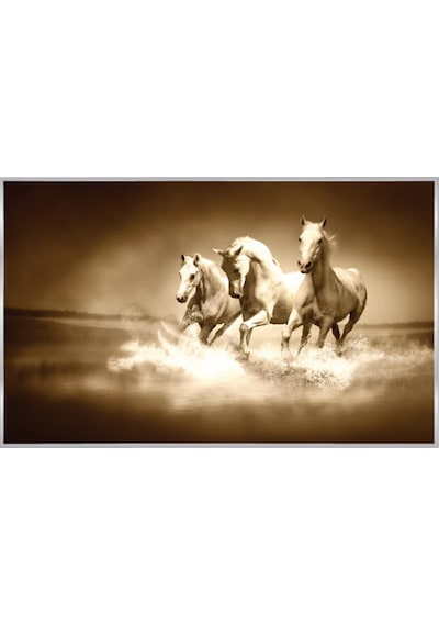 Poster Duvar Kağıdı 427 8 Parça 3.68mt X 2.54mt Renkli