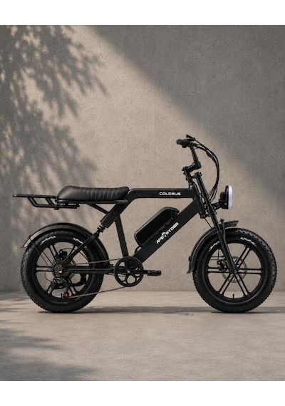 Ape Ryder Colobus Elektrikli Bisiklet 750w - Siyah