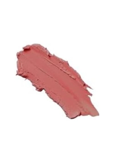 Powder Lipstick No: 113 - Nemlendirici Pudramsı Mat Ruj 0