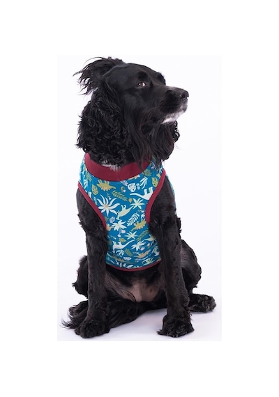 Pawstar Dino Küçük Irk Köpek Penye T-shirt