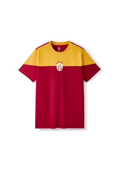 Gsstore Galatasaray Erkek T-shirt E261040 Sarı - Kırmızı