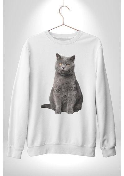 British Shorthair Kedi Unisex Beyaz Sweatshirt Beyaz