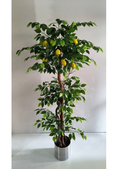 Rüzgar Yapay Çiçekçilik 180 Cm Limon Ağacı Yeşil