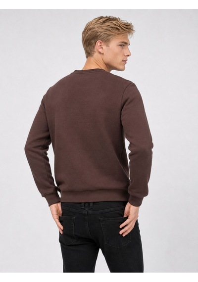 Loft Regular Fit Erkek Sweatshirt Lf2041178 Q1.v1 Kahverengi