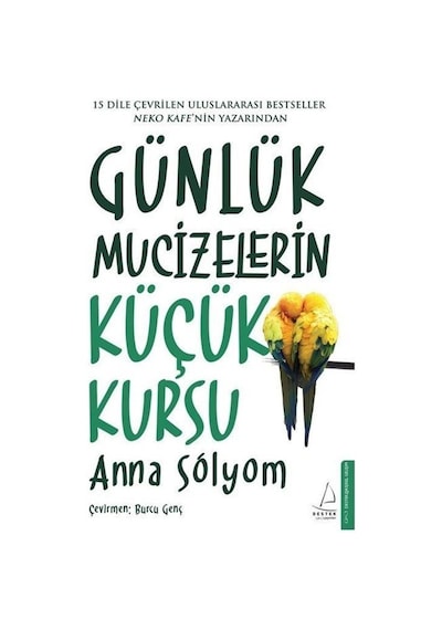 Günlük Mucizelerin Küçük Kursu - Anna Solyom - Destek Yayınları