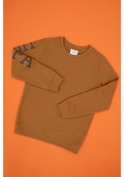 U.S. Polo Assn. Erkek Çocuk Camel Bisiklet Yaka Basic Sweatshirt 50313831-VR233 U.S. Polo Assn. Erkek Çocuk Camel Bisiklet Yaka Basic Sweatshirt 50313831-VR233