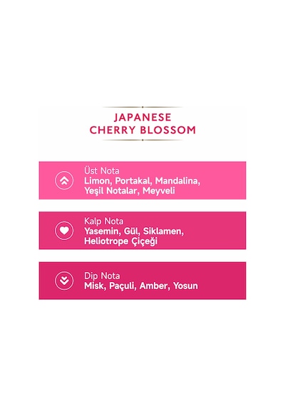 Mad 80 Derece Japanese Cherry Blossom Kolonya 200 ML