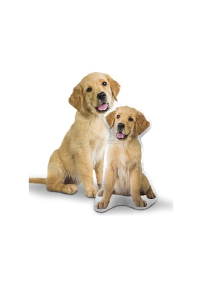 Kişiye Özel Kedi Köpek Evcil Hayvanınıza Özel Yastık Çok Renkli