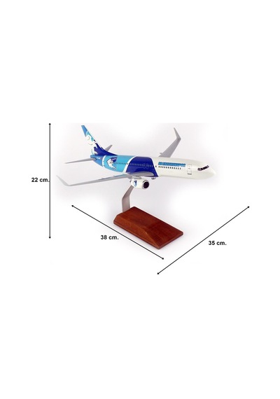 Thy050 1/100 Ölçek, Thy Erzurum Spor Logolu B737-800 Yolcu Uçağı, Sergilemeye Hazır Ahşap Standlı Model-56299