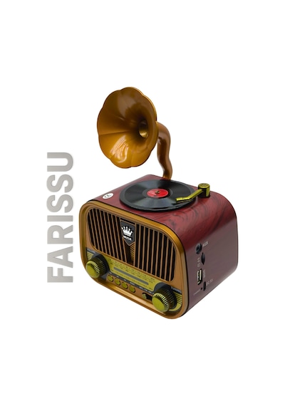 Nostaljik Gramofon Tasarımlı Bluetooth Radyo Fm/am/sw Usb & Tf Kart Destekli Type-c Şarjlı