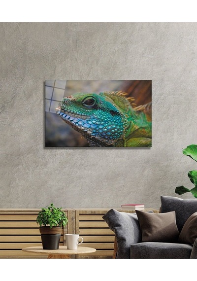 İguana Cam Tablo Evlika
