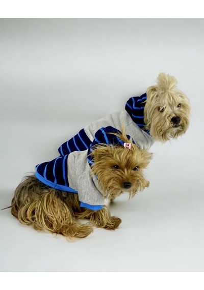 Blue Line Kapşonlu Sweatshirt Köpek Kıyafeti Köpek Elbisesi