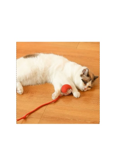 5 Adet Şarjlı Kedi Oyuncağı Titreşimli Hareketli Top