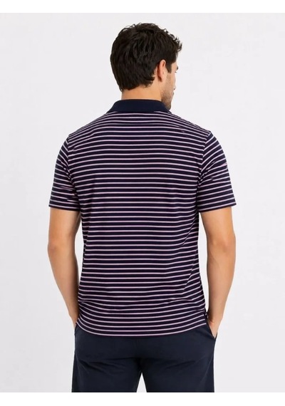 Defymoda Erkek Pike Kumaş Gül Kurusu Çizgili Polo Yaka Tişört Kısa Kol T-shirt - Siyah