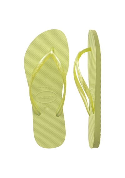 Slim Matcha Green Kadın Terlik-4878 Matcha Green